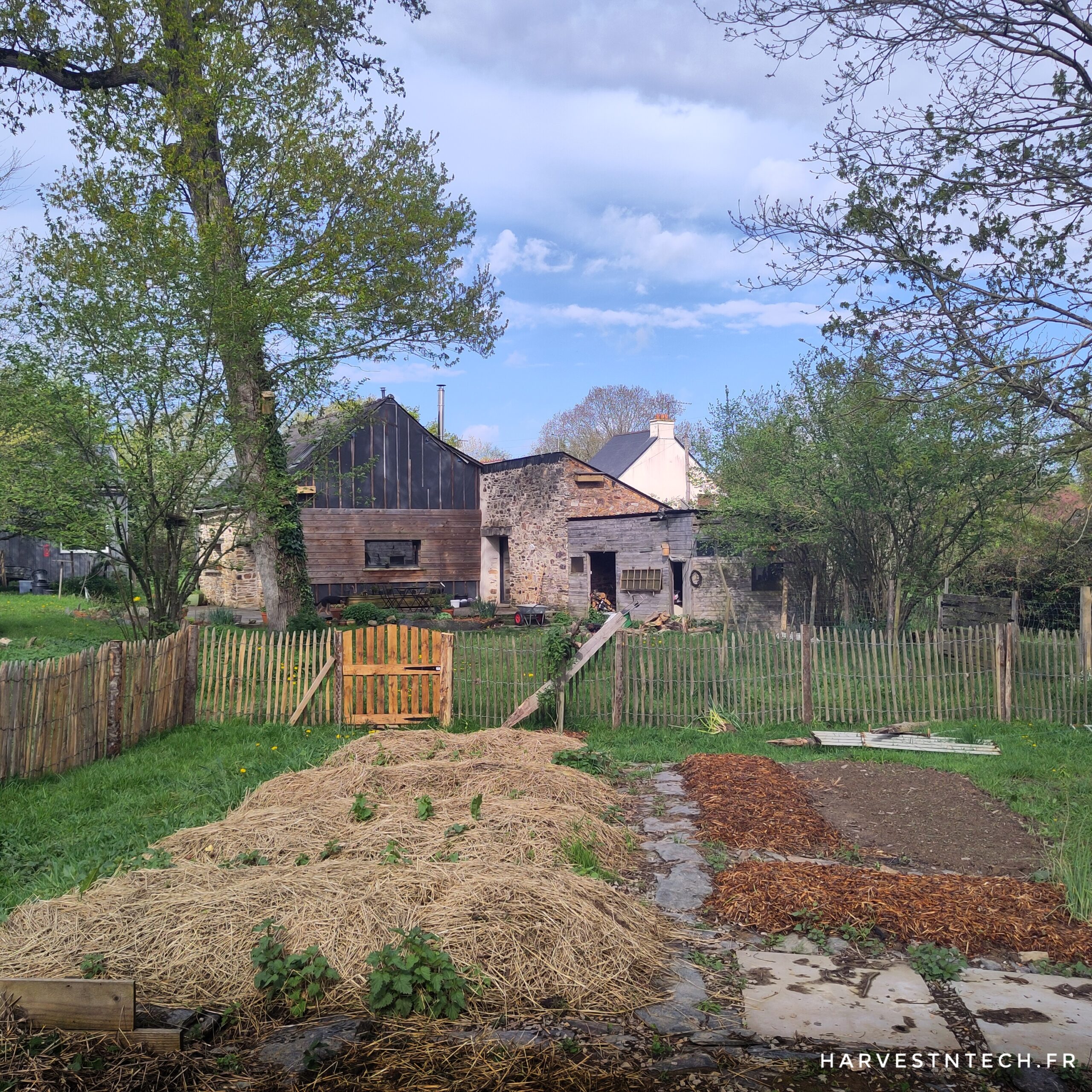 Le 1er réveil du potager