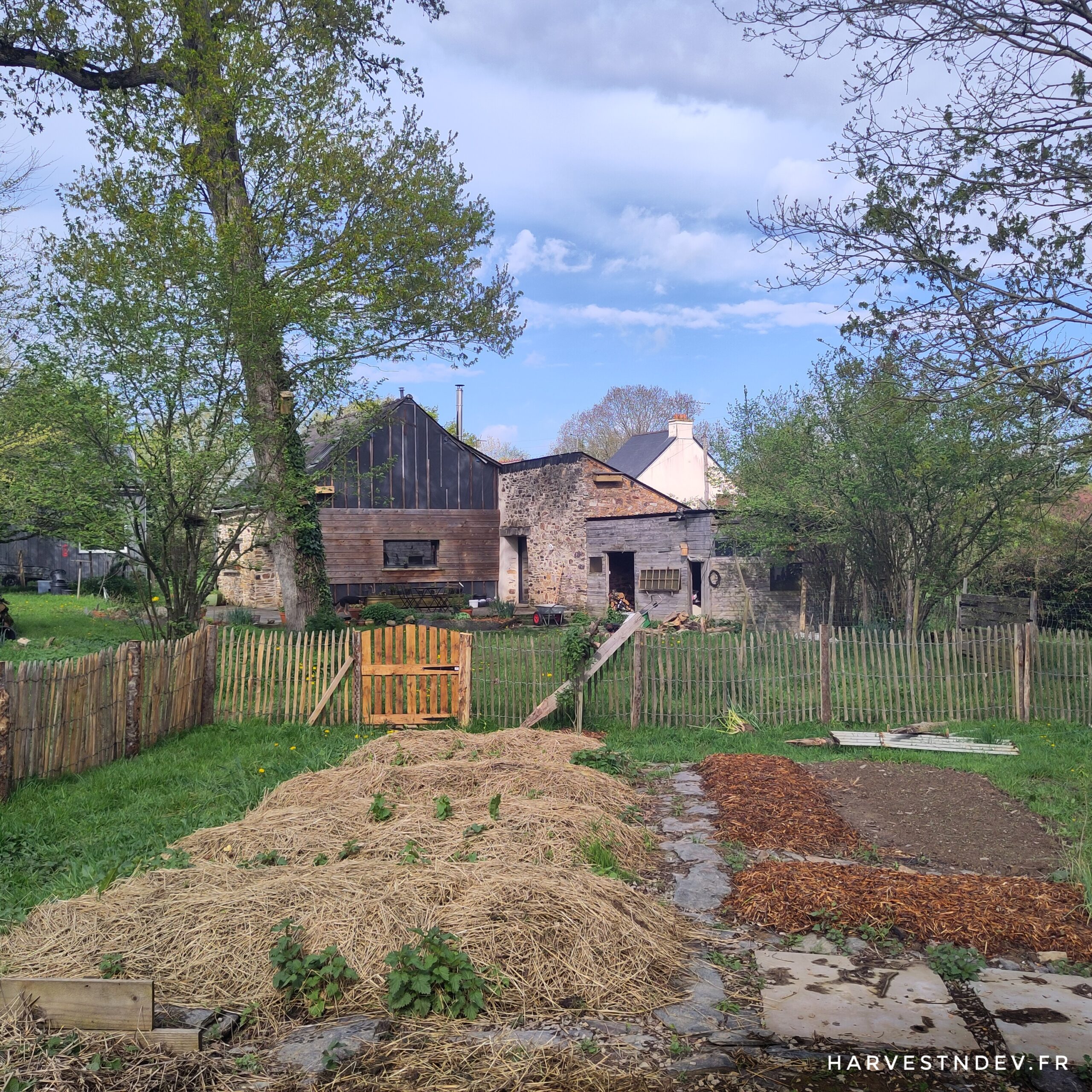 Le 1er réveil du potager